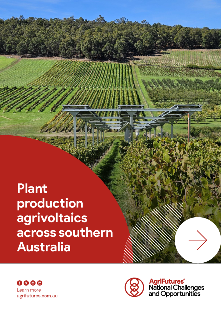 A large solar panel structure stands over rows of crops in a vineyard, surrounded by hills and trees, as described in the Report: Plant production agrivoltaics across southern Australia.