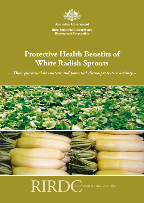 Protective Health Benefits Of White Radish Sprouts Their Glucosinolate